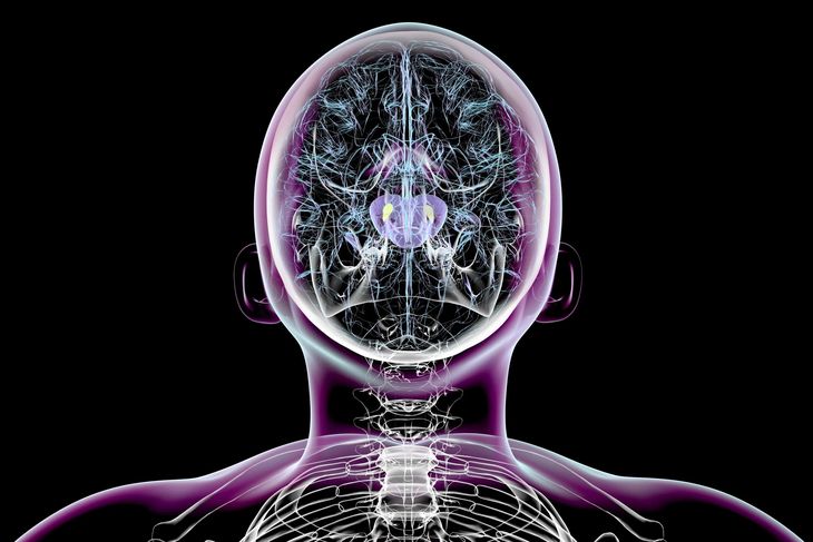 Científicos identificaron que la levodopa puede alterar la arquitectura interna de las neuronas tras un uso prolongado. Científicos identificaron que la levodopa puede alterar la arquitectura interna de las neuronas tras un uso prolongado.