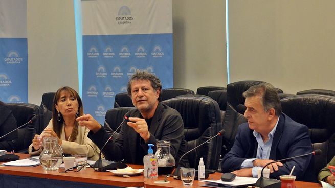 La diputada Roxana Reyes, el economista Eduardo Levy Yeyati y el tirular de la bancada radical, Mario Negri. 