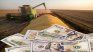 La cosecha se demora y baja el ritmo de compras del BCRA.&nbsp;