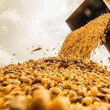 El Acuerdo Mercosur-UE, vigente desde el 1 de mayo, constituye el mayor entendimiento comercial alcanzado en la historia del Mercosur. El Acuerdo Mercosur-UE, vigente desde el 1 de mayo, constituye el mayor entendimiento comercial alcanzado en la historia del Mercosur.