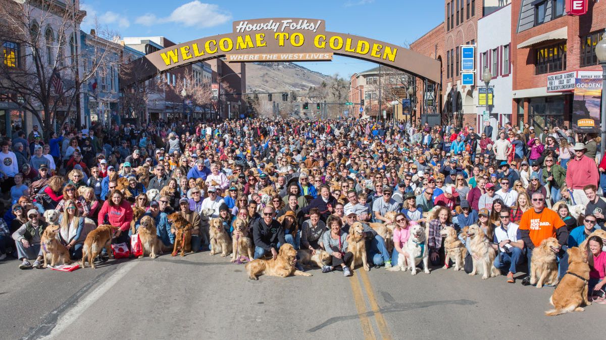 The unusual meeting of hundreds of dogs and their owners