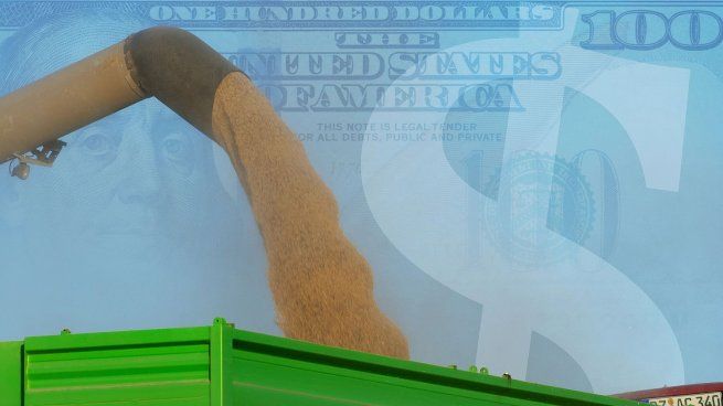 El BCR anticipó cuántos dólares tiene el campo sin vender.