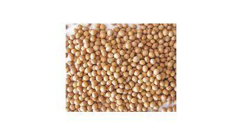 El Departamento de Agricultura de Estados Unidos redujo por tercer mes consecutivo su proyección para la producción y exportación sojeras argentinas.