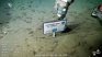 The expedition in the depths of the sea reached 80,000 spectators. The expedition in the depths of the sea reached 80,000 spectators.