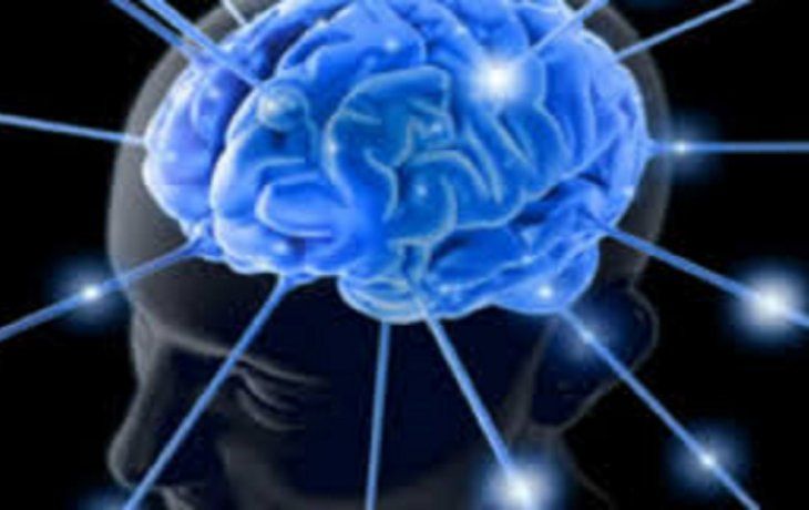 Día Mundial del Cerebro.&nbsp;