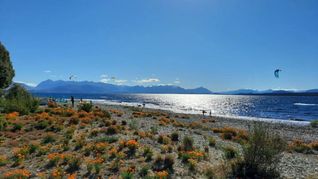 Dina Huapi, en Río Negro, una playa paradisíaca en la costa patagónica. Dina Huapi, en Río Negro, una playa paradisíaca en la costa patagónica.