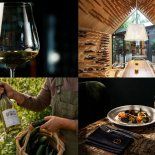 5 de mayo - Día Internacional del Sauvignon Blanc. 5 de mayo - Día Internacional del Sauvignon Blanc.