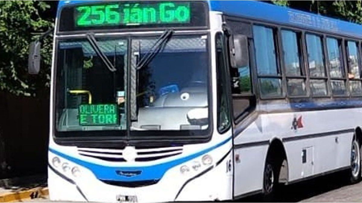 Paro de colectivos en provincia de Buenos Aires afecta a miles de pasajeros