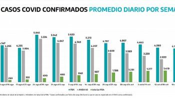 provincia: siguen en descenso nuevos casos de covid-19 y cae la ocupacion de camas