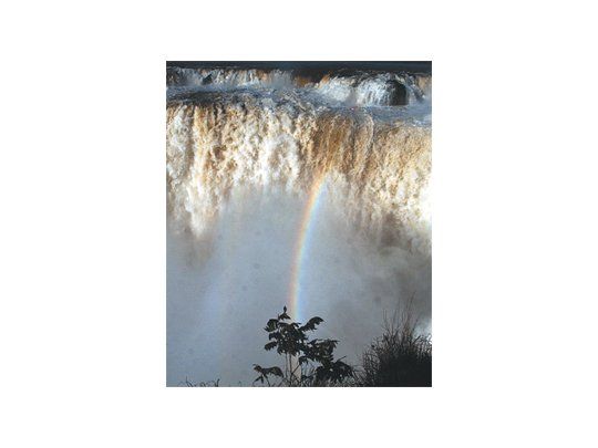 Las Cataratas del Iguazú convocan cada año a miles de turistas de todo el mundo. Se trata de una expresión de la naturaleza que atrapa por su fuerza, sonoridad y belleza. La agradable temperatura de Misiones es un condimento extra.