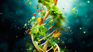 The test is used to know and understand genetic susceptibility to foods. The test is used to know and understand genetic susceptibility to foods.
