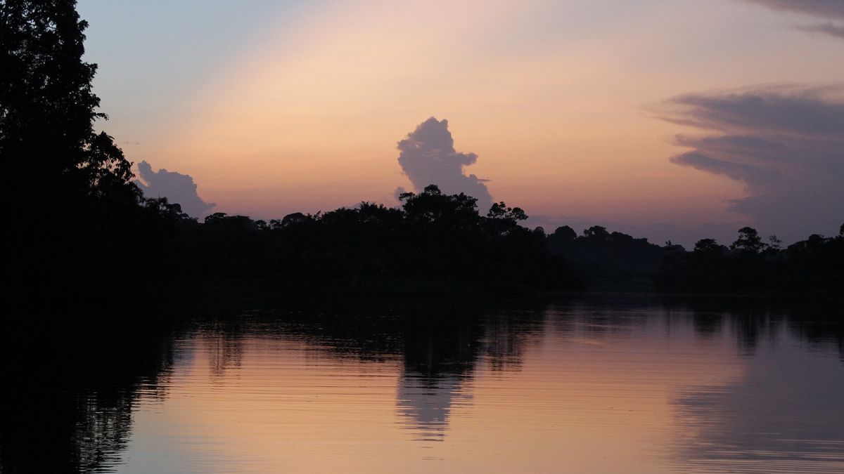Amazonía: 6 curiosidades del bosque tropical más grande del planeta