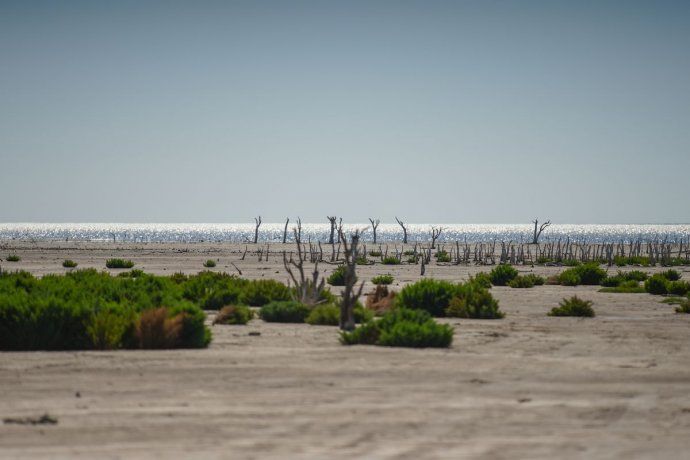 Parque Nacional Ansenuza.