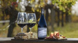 Cabernet Franc: 5 etiquetas que rinden culto a la cepa