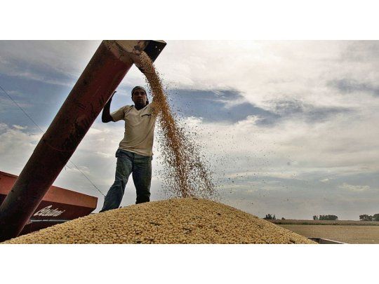 Exportadoras agrícolas podrán declarar ventas de soja a futuro
