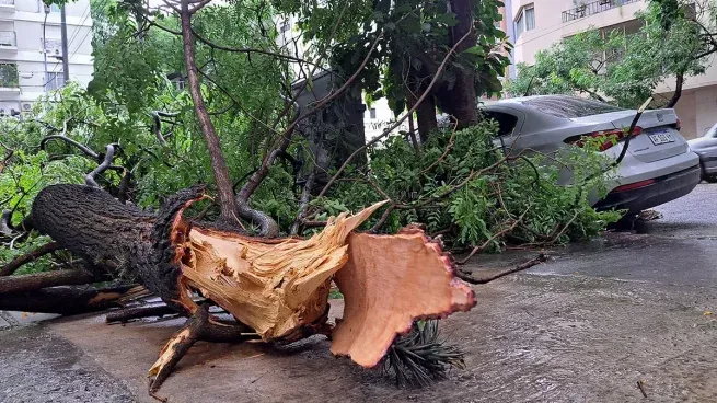 Temporale en el país: miles de personas afectadas por los destrozos.