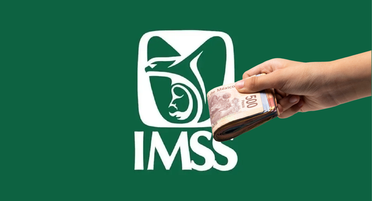IMSS PAGO.png