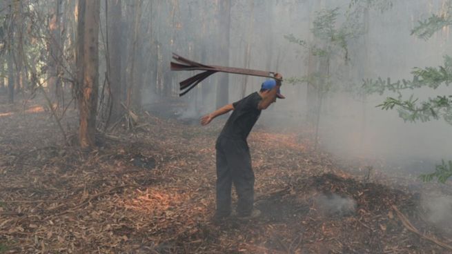 La zona afectada está a la altura de ruta 2, kilómetro 38,5 entre el partido de La Plata y Berazategui.