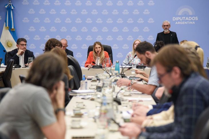 Comisión de Previsión y Seguridad Social en la Cámara de Diputados.