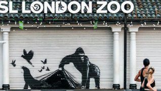 La serie de animales de Banksy llegó al Zoo de Londres.