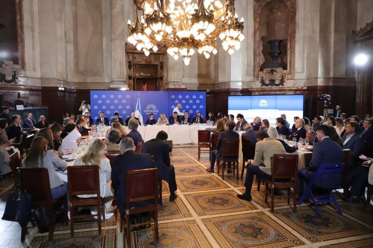 Los senadores alertaron sobre la excepcionalidad que incluye la reforma a la Ley de Tierras. Los senadores alertaron sobre la excepcionalidad que incluye la reforma a la Ley de Tierras.