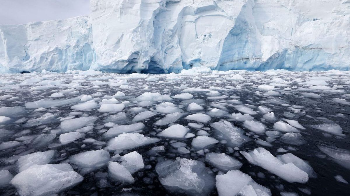 alarm over the slow but sure loss of Antarctic ice