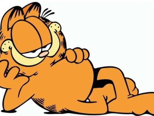 Garfield es un gato malhumorado que le gusta comer y dormir.