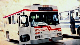 Fundó una de las empresas de transporte más importante de México, pero los problemas financieros y sindicales lo llevaron a la quiebra.