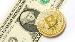 The crypto dollar, being unregulated, offers a more speculative and riskier option.