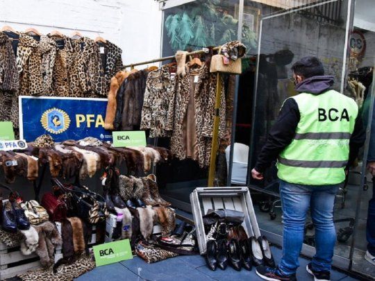 Local de Recoleta comercializaba pieles de animales silvestres.&nbsp;