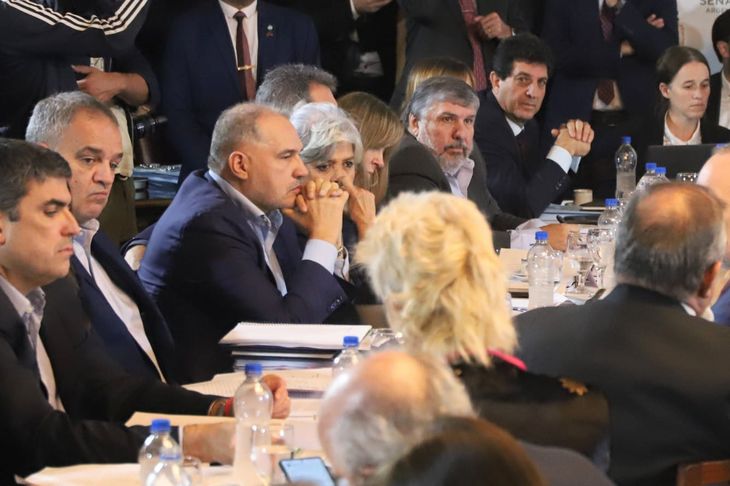 Senadores discuten los temas m&aacute;s importantes de la ley Bases.