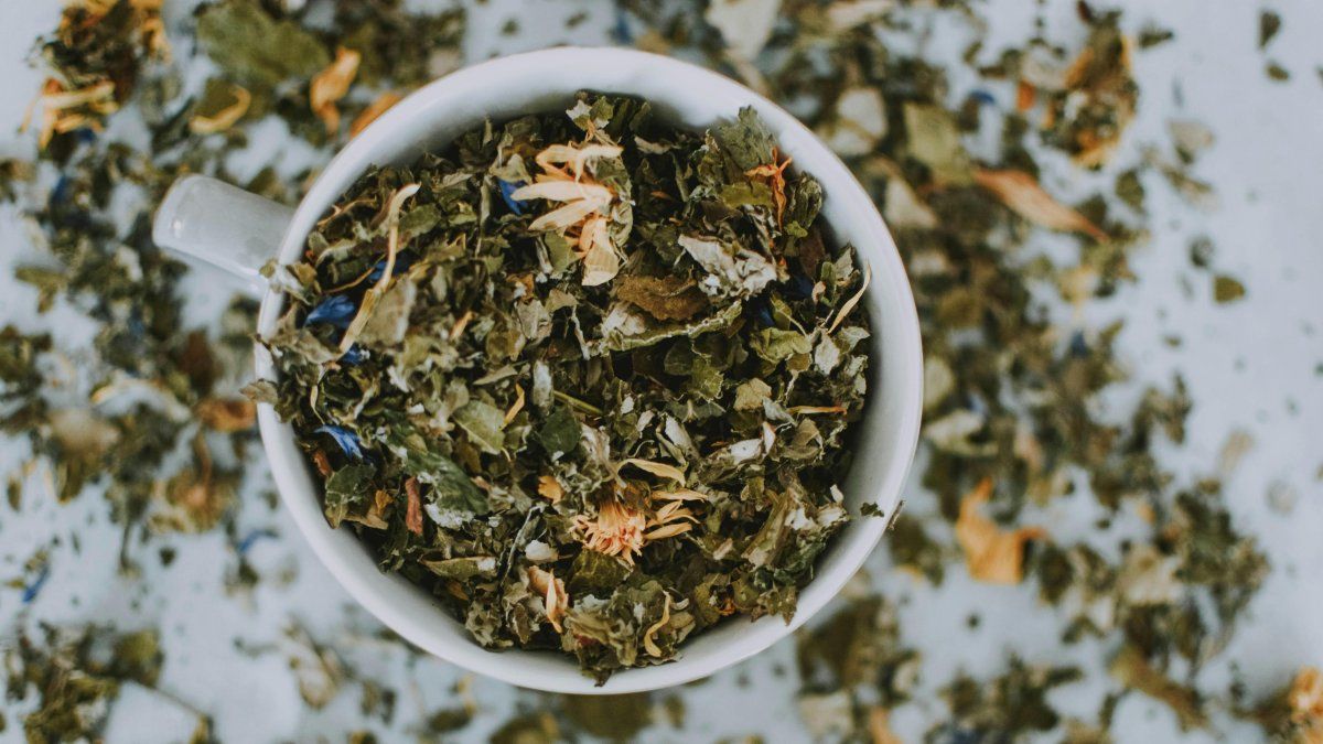 These four infusions will help you give more and train better