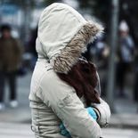 Frente Frío 12 causa lluvias muy fuertes y temperaturas heladas de hasta -10 grados en estos estados, según Conagua. Frente Frío 12 causa lluvias muy fuertes y temperaturas heladas de hasta -10 grados en estos estados, según Conagua.