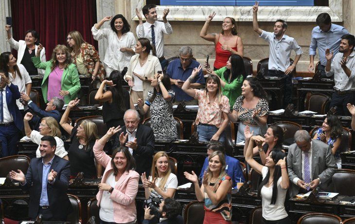 El bloque oficialista celebra la sanción de la ley de moratoria previsional.