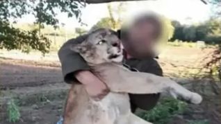 La imagen del hombre con el puma se hizo viral.
