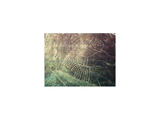 LAS CABEZAS DE NAZCA