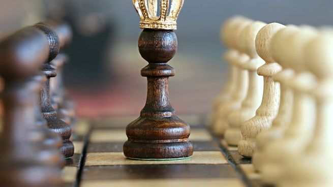 Harvard seleccionó las mejores películas para estimular la mente