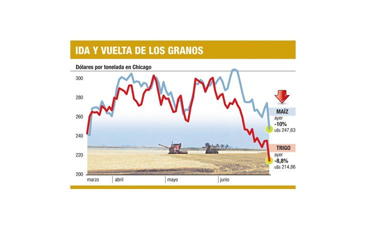 ámbito.com | Alerta en el campo: se derrumban hasta el 10% maíz y trigo