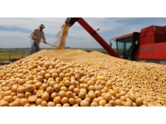 El VAB Agro para 2024 se proyecta a febrero en u$s 10.453 millones.