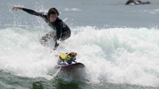 Mauro y Efruz surfean las olas y, también, surfean el furor en internet.