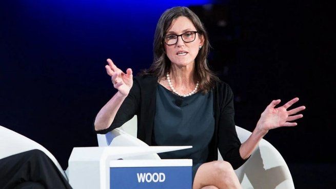 Cathie Wood, especialista en nuevas tecnologías.