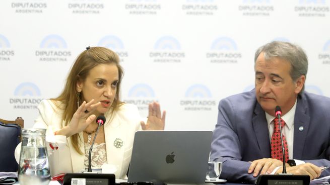 Beatriz Anchorena, titular de la Agencia de Acceso a la Información Pública, y el diputado Nicolás Mayoraz.