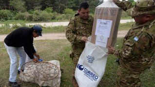 Elecciones 2023: cuáles son las propuestas de seguridad de los candidatos presidenciales.