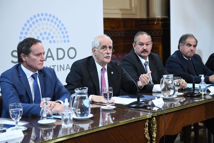 Taiana Senado (3).JPG