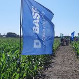 Basf es uno de los gigantes del sector químico y agrícola a nivel mundial. Basf es uno de los gigantes del sector químico y agrícola a nivel mundial.