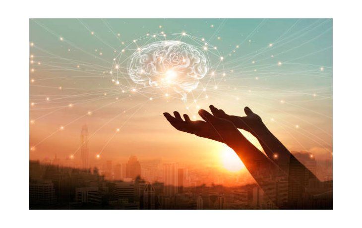 salud: ¿cuales son los efectos de la vitamina d en el cerebro?