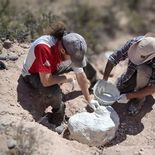 Científicos del CONICET trabajaron en el Área Natural Protegida Paso Córdoba, en Río Negro Científicos del CONICET trabajaron en el Área Natural Protegida Paso Córdoba, en Río Negro