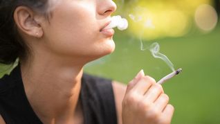 ámbito.com | Marihuana.jpg
