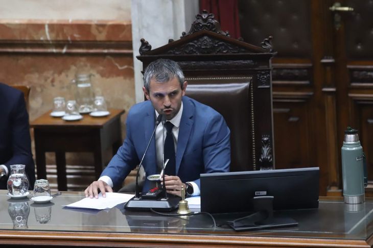 ley bases diputados 27-06 martin menem