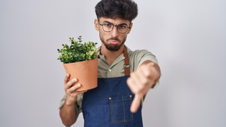 ¿Tienes muchas plantas en casa? Esto revela tu personalidad, según la Psicología